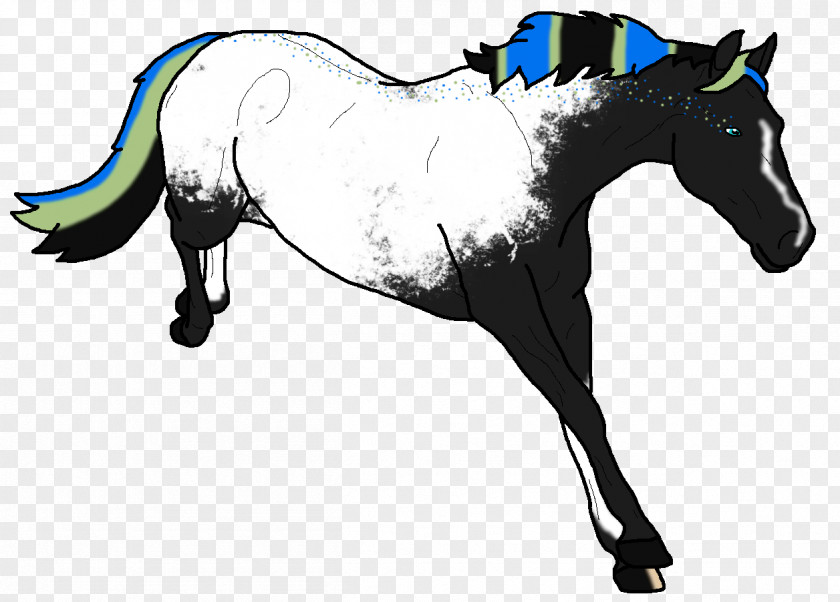 Mustang Mane Stallion Foal Colt PNG