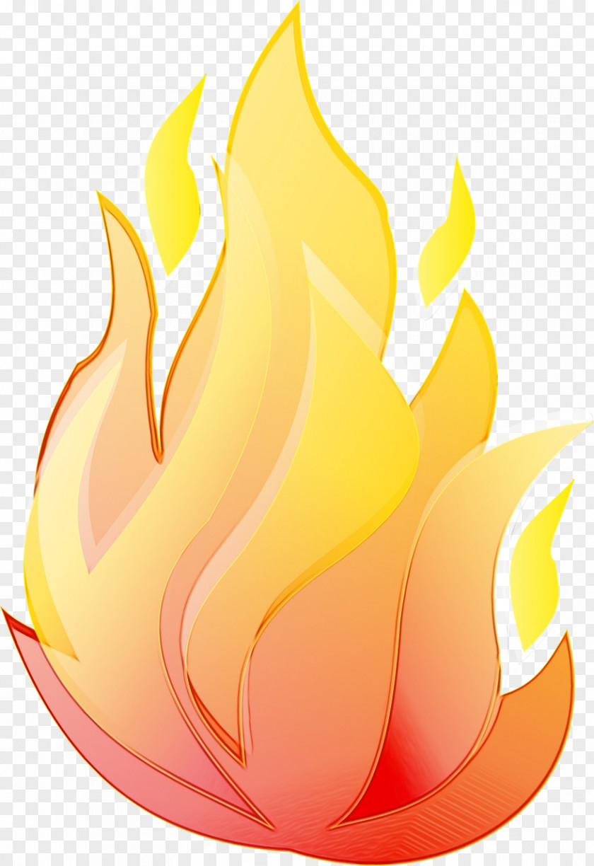 Plant Fire Yellow Flame Clip Art PNG