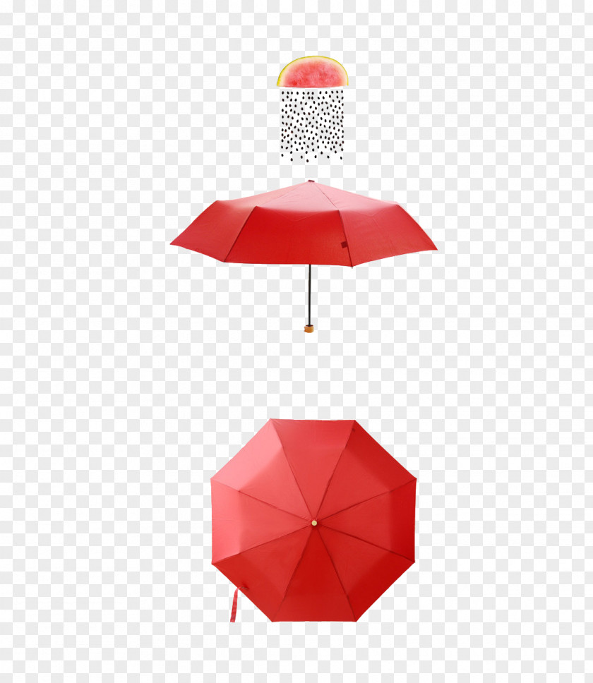 Red Umbrella Download Euclidean Vector PNG