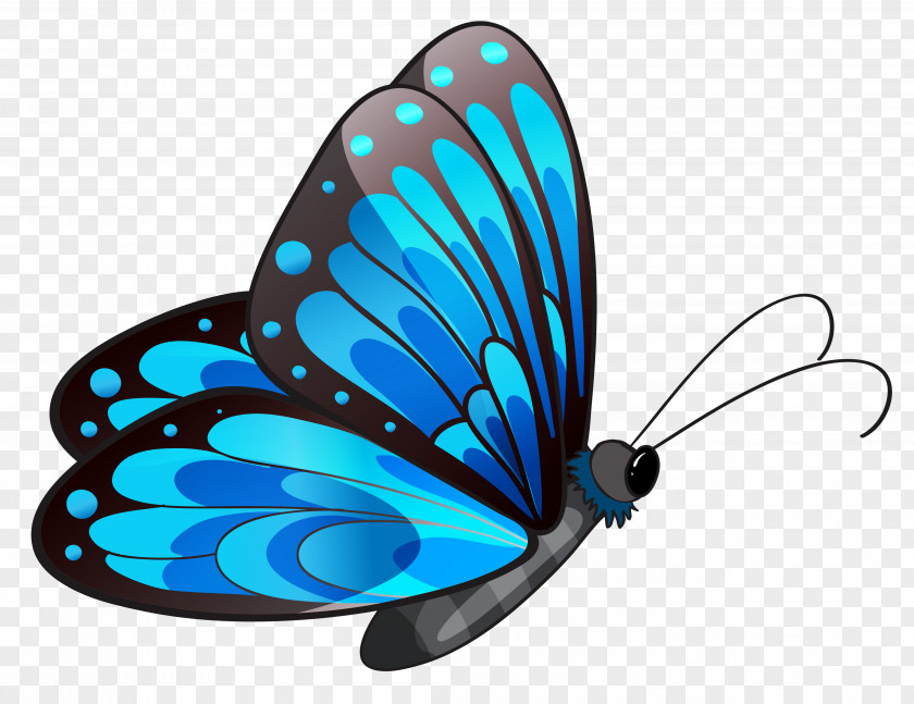 Transparent Blue Butterfly Clipart Clip Art PNG
