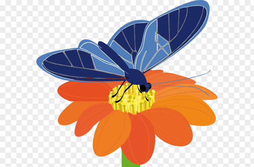 Blue Butterfly Flower Clip Art PNG