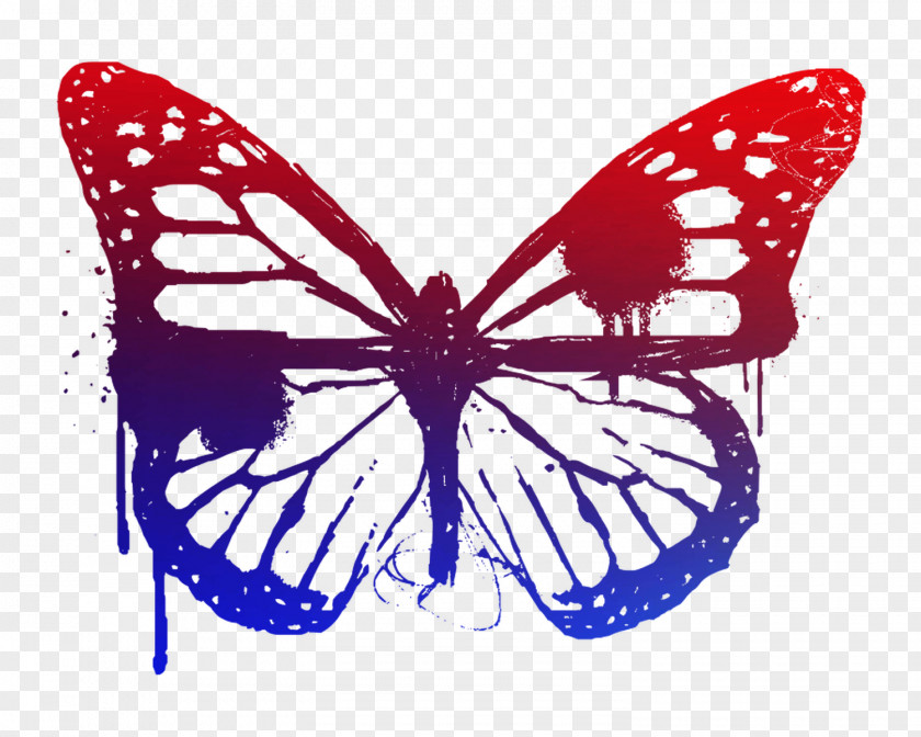 Butterfly Vector Graphics Drawing Clip Art Image PNG