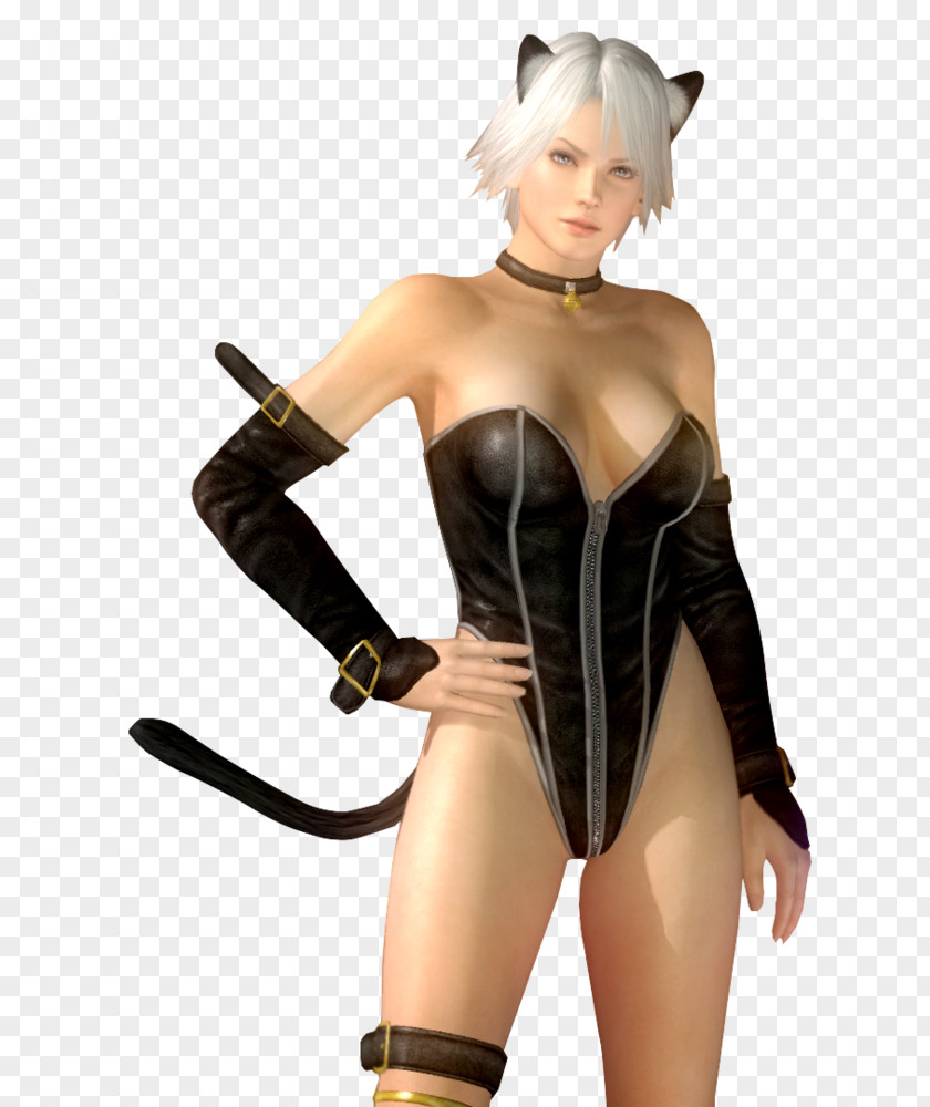 Cats Christie Dead Or Alive 5 Kasumi DOA: DeviantArt PNG