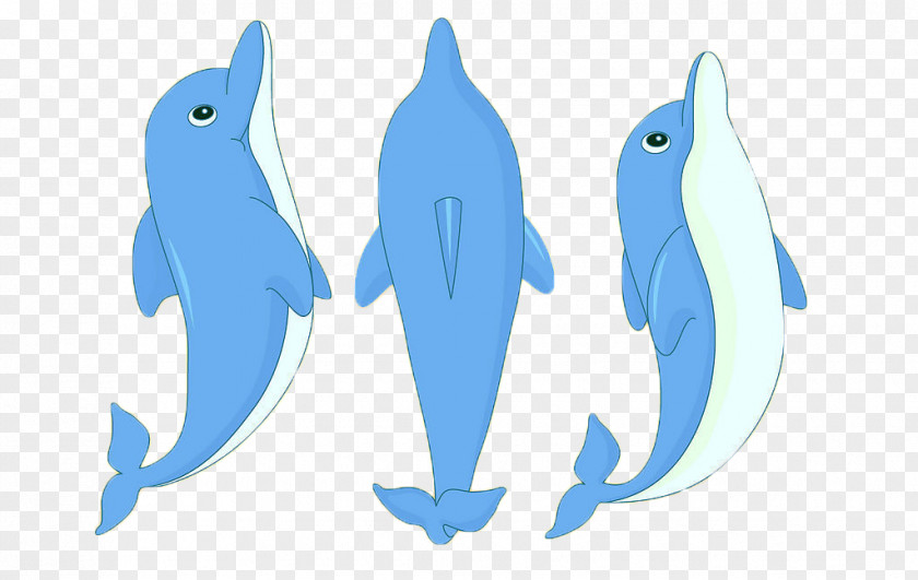 Dolphin,animal,lovely Dolphin Cartoon Clip Art PNG
