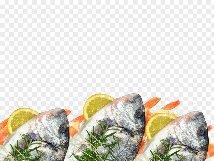 Fish Products Recipe Dish Network PNG