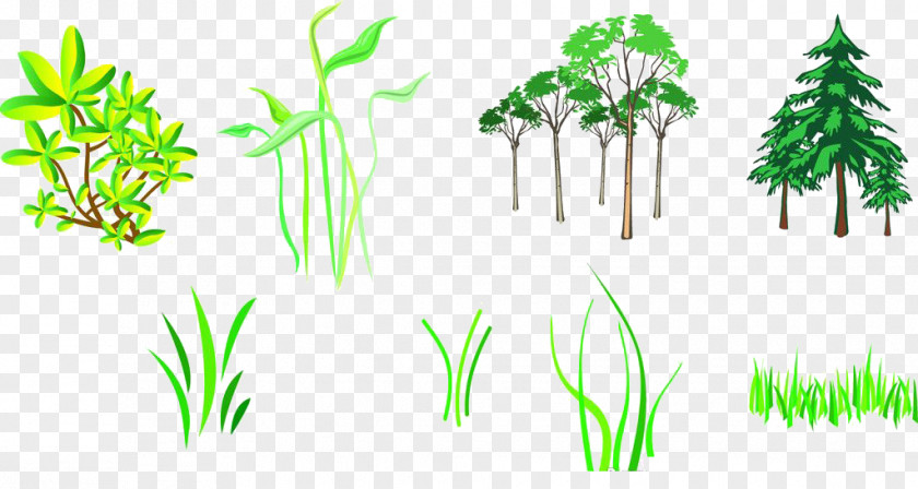 Grass Branch Tree Silhouette PNG