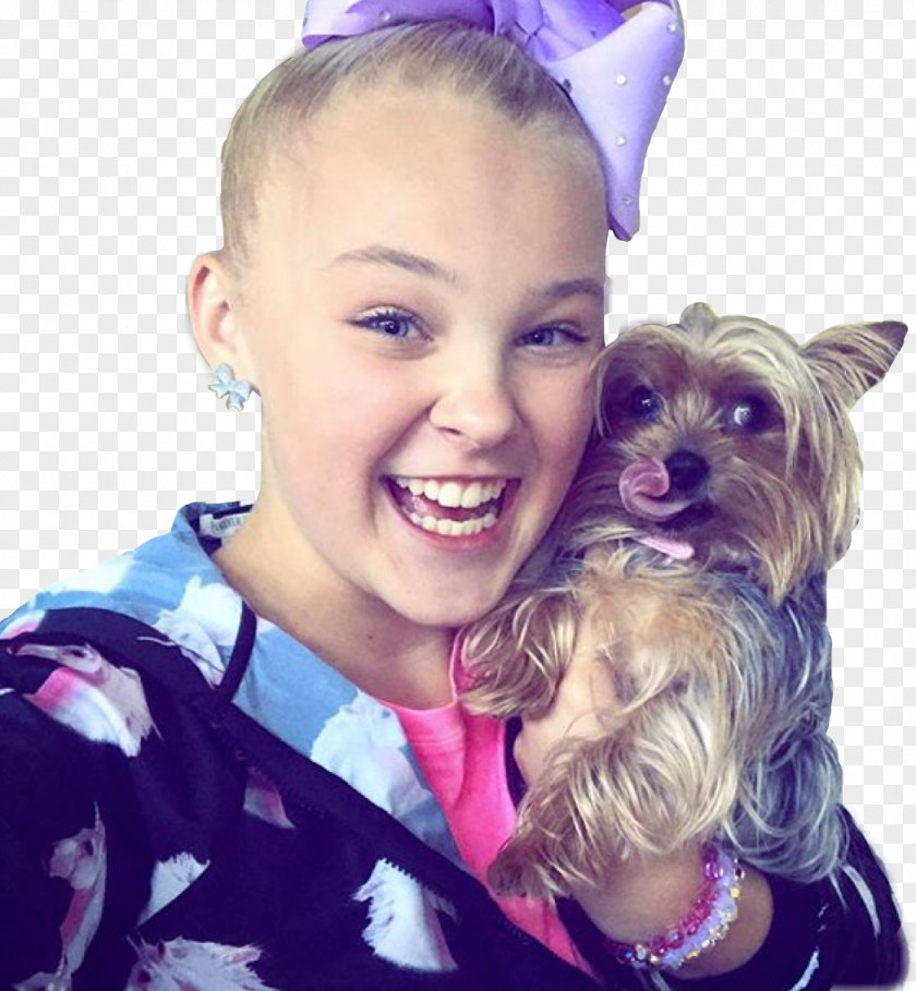 Jojo Siwa Edits Puppy Dog Breed Yorkshire Terrier JoJo Dance Moms PNG