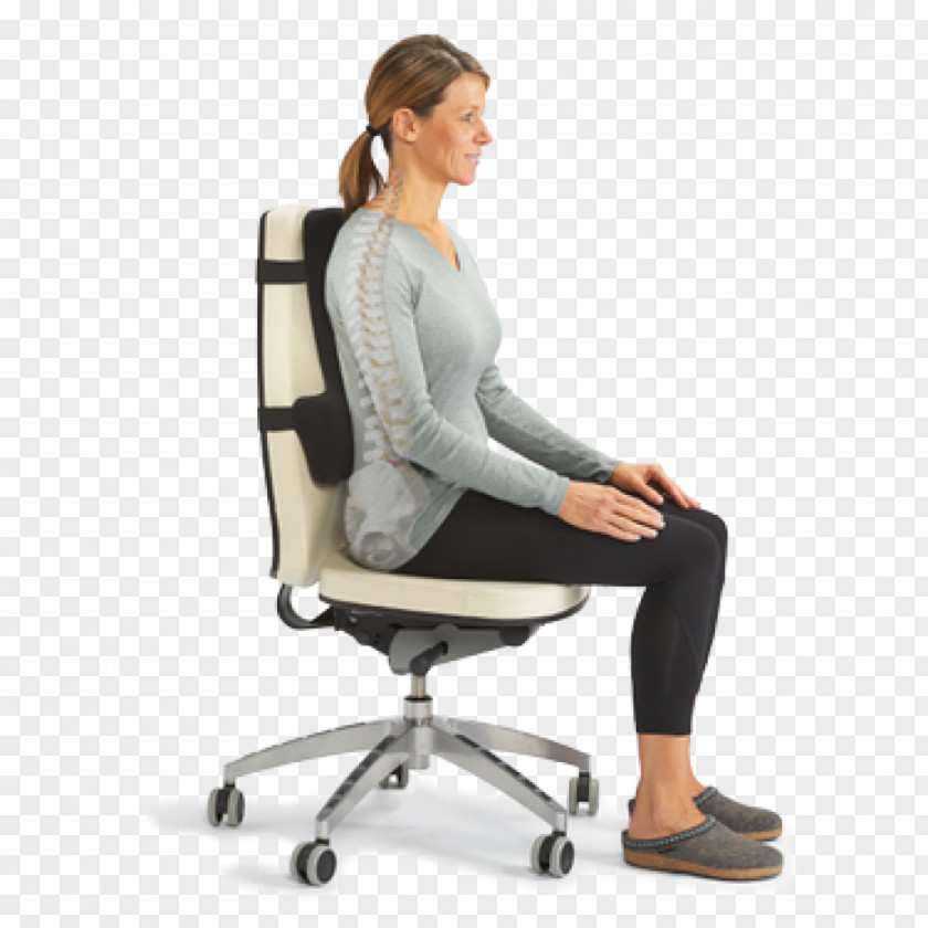 Office Chair Lumbar Vertebrae Sitting Human Back Vertebral Column PNG