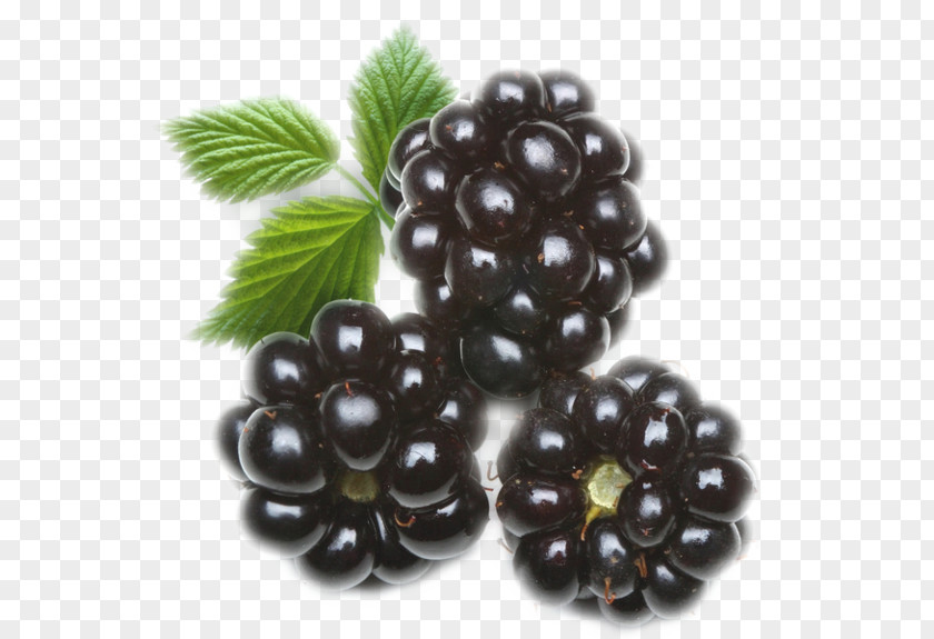 Blackberry Organic Food Gummi Candy Juice Dewberry PNG
