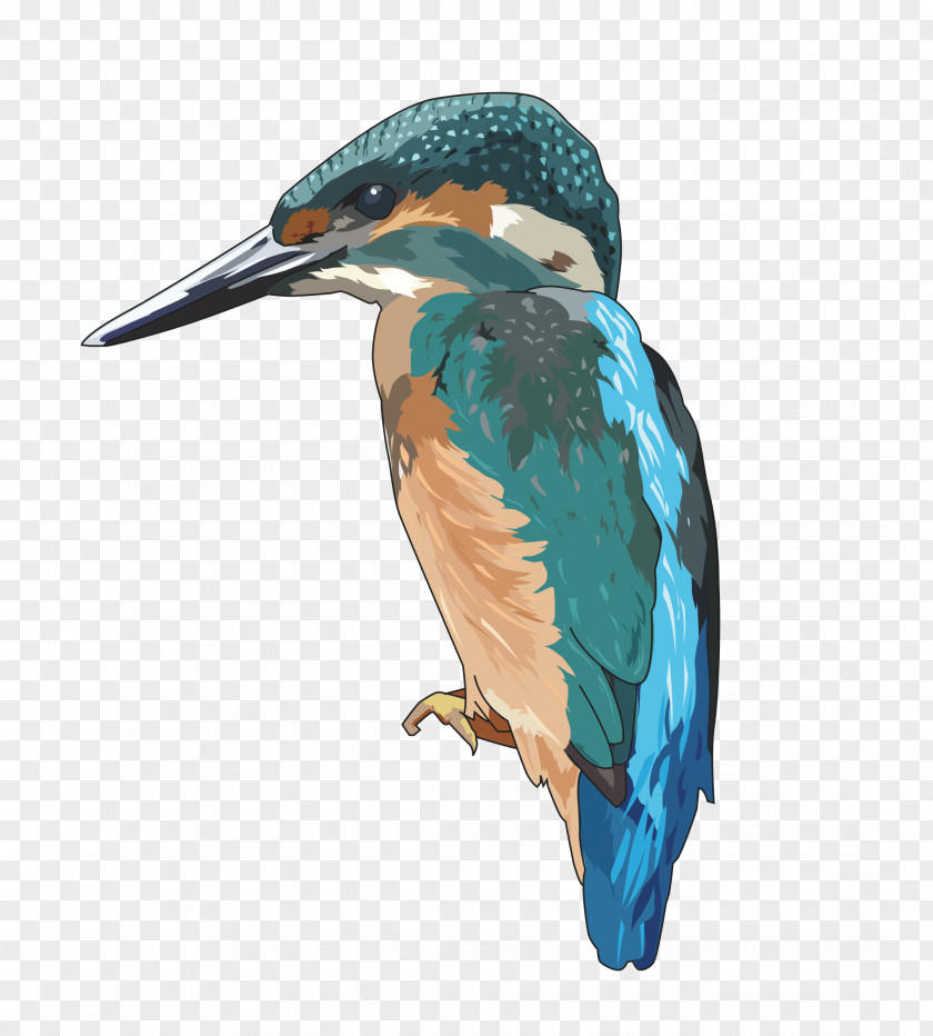 Blue Bird Kingfisher Clip Art PNG