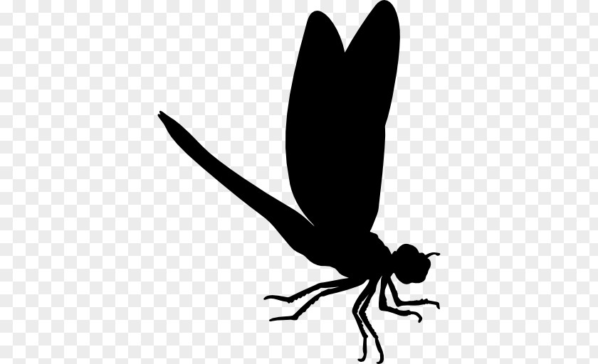 Dragon Fly PNG