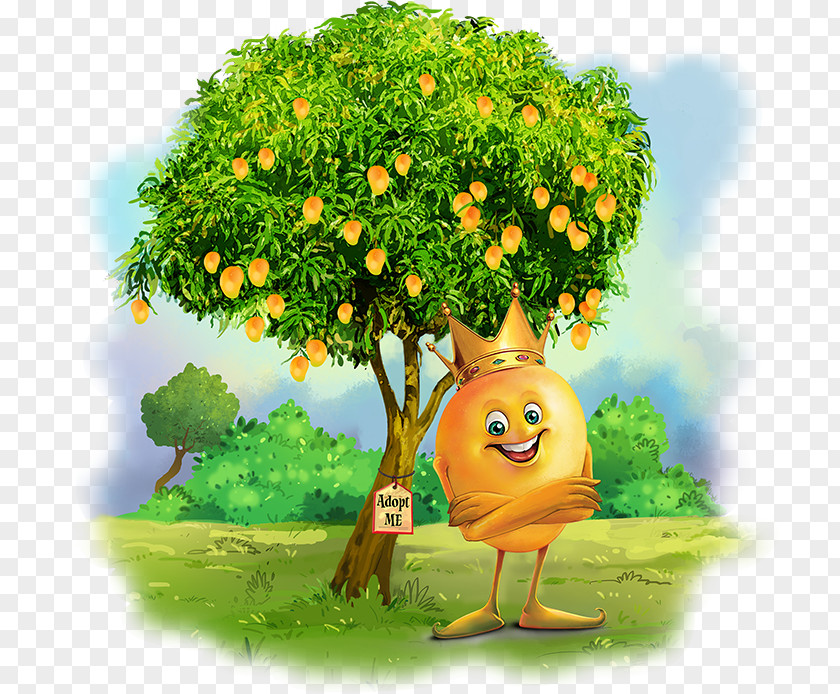 Mango Tree Konkan Mangifera Indica Alphonso PNG