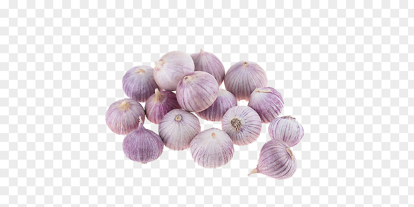 Onion Solo Garlic Taobao Price Catty JD.com PNG