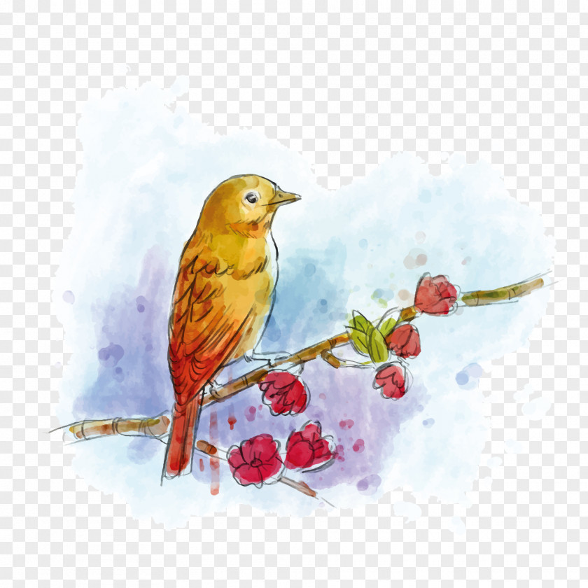 Vector Watercolor Birds His Eye Is On The Sparrow Gospel Of Matthew Poster PNG