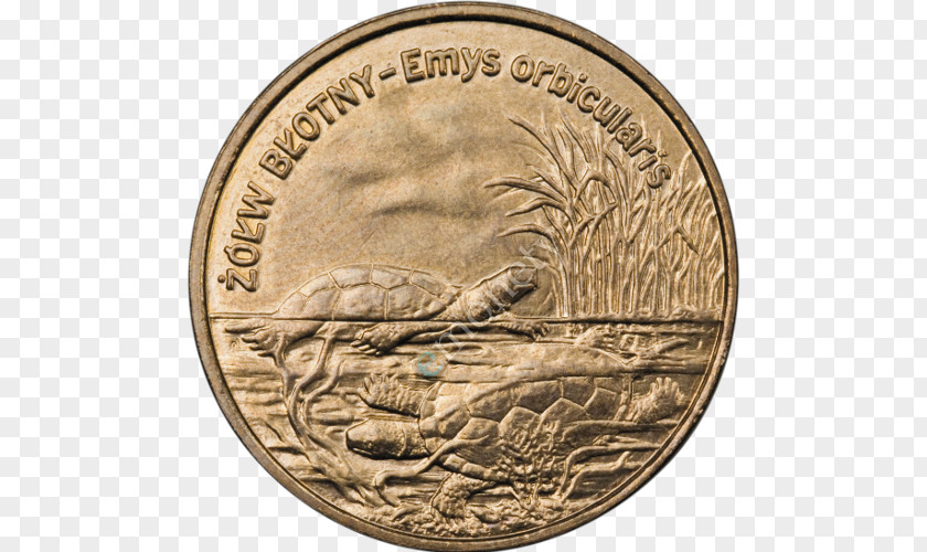 Coin Poland Monety Okolicznościowe 2 Złote Nordic Gold Polish Złoty PNG