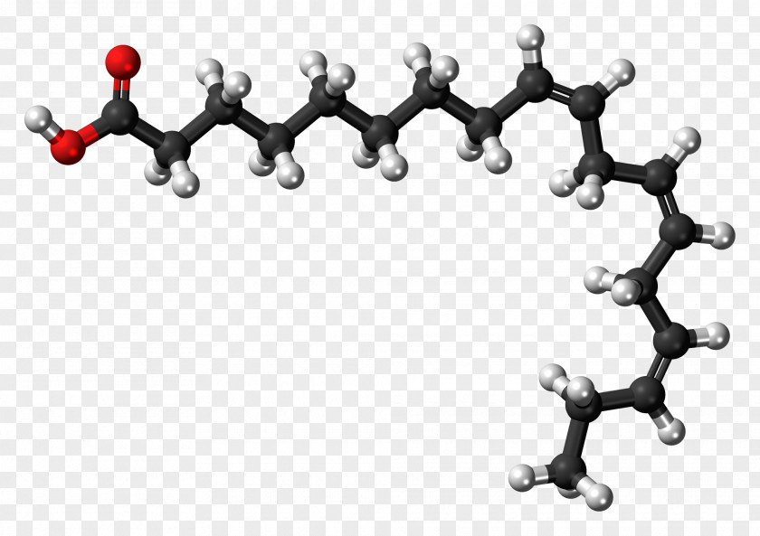 Dna Alpha-Linolenic Acid Omega-3 Fatty Acids PNG