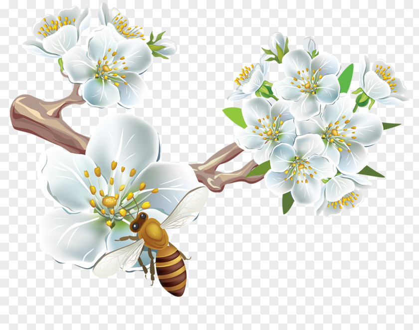 Flower Photography Clip Art PNG