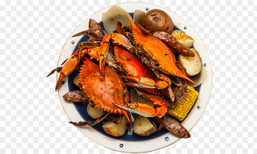 Shrimp Crab Portuguese Cuisine Oyster Seafood PNG