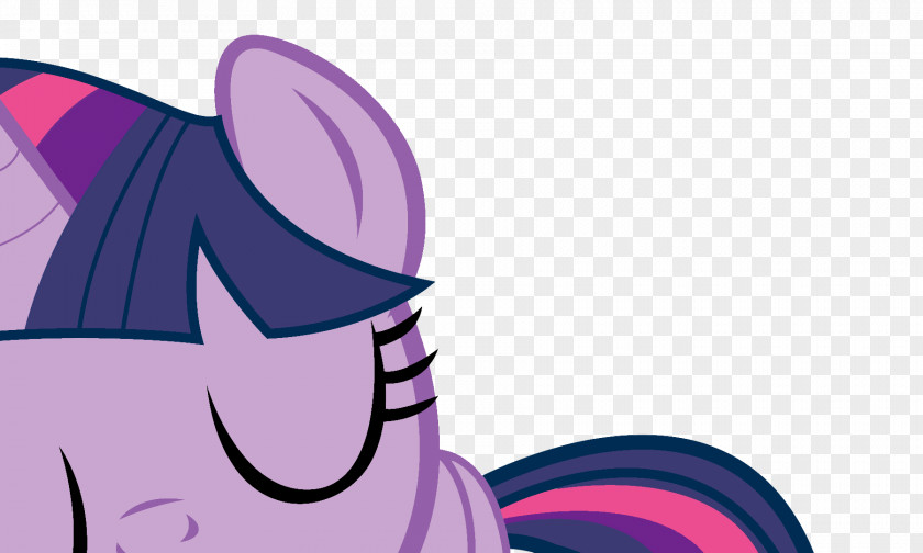 Sparkle Twilight Pinkie Pie Rainbow Dash Spike Rarity PNG