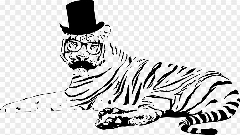 TIGER VECTOR Tiger Drawing PNG