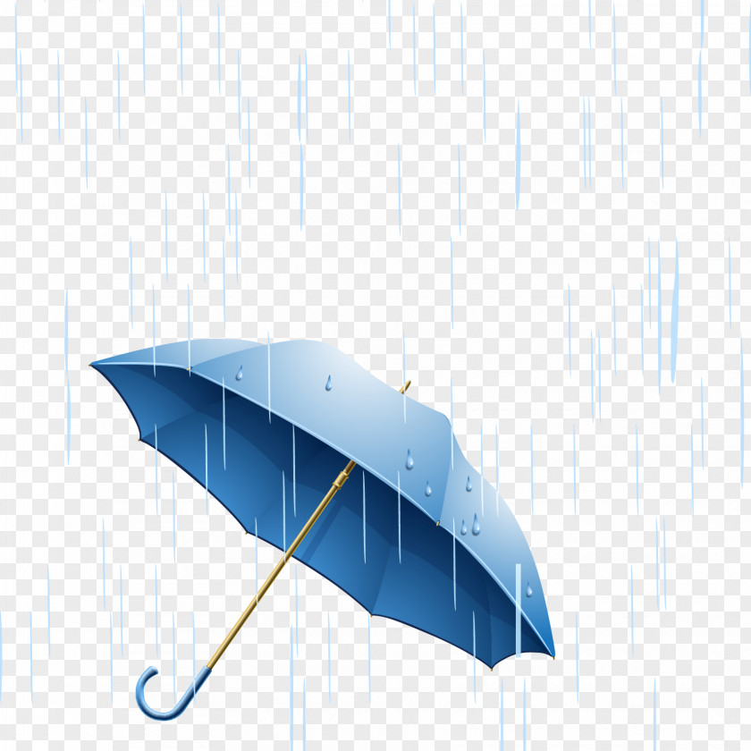 Umbrella Rain Euclidean Vector Illustration PNG