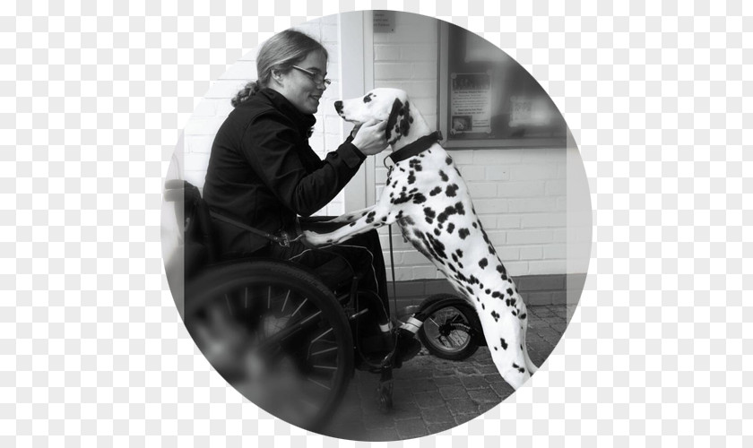 Wheelchair Black And White Walking Human Behavior PNG