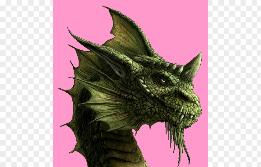 Dragon Of The Lost Sea Brisingr Eragon Inheritance Cycle PNG