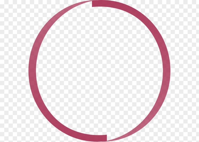 Dynamic Circle Line Group Inc Hula Hoops Color Pink PNG