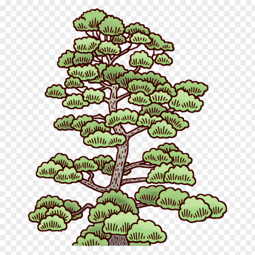 Family Tree PNG