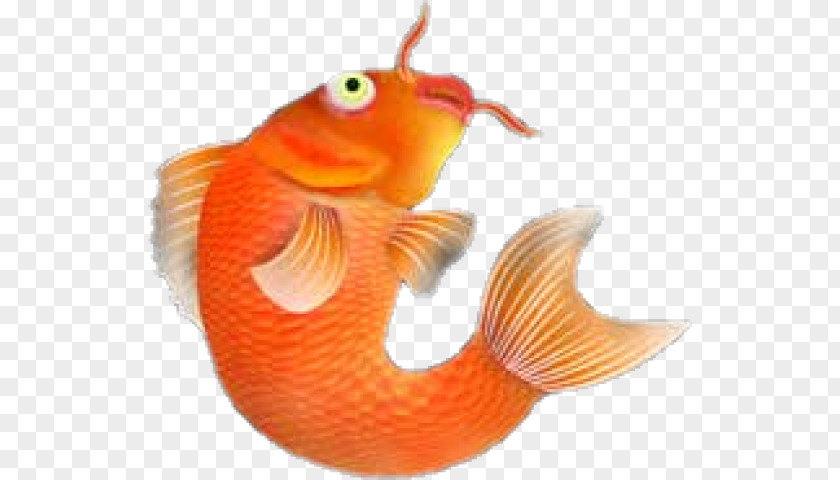 Fish April Fool's Day Humour PNG