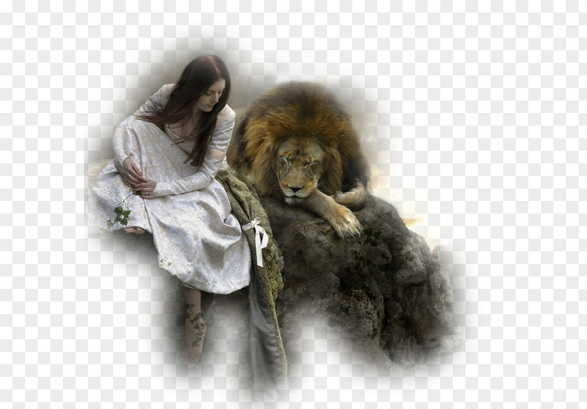 Lion Of Judah Bride Christ Tribe PNG