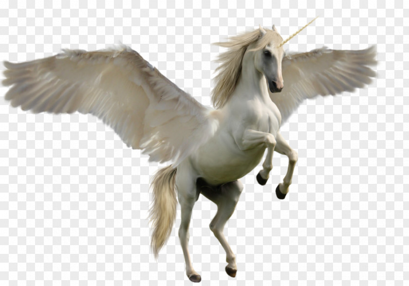 Pegasus Unicorn Clip Art PNG