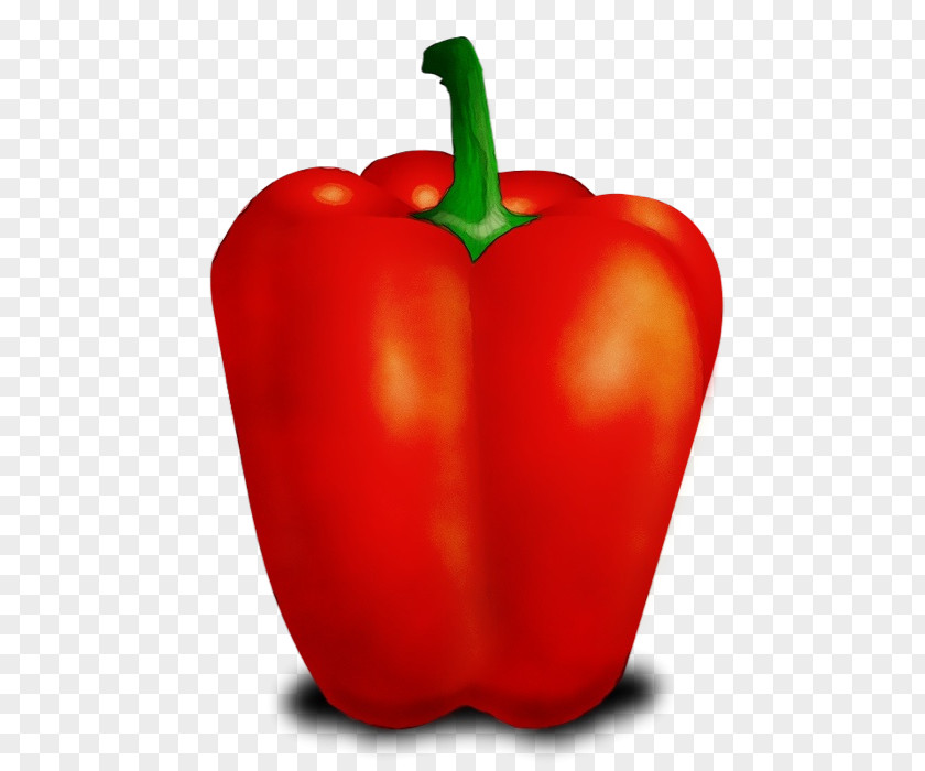 Plant Red Bell Pepper Natural Foods Pimiento Peppers And Chili Capsicum PNG