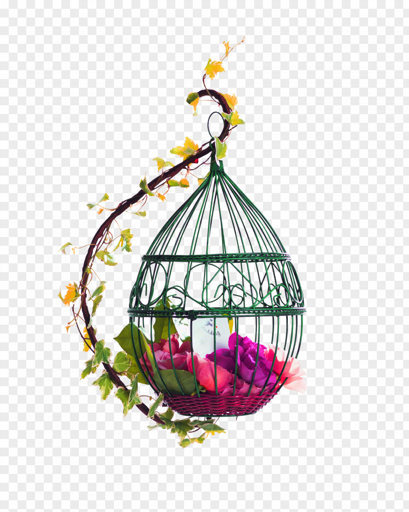 Red Fresh Bird Cage Flowers Decorative Patterns Birdcage Poster PNG