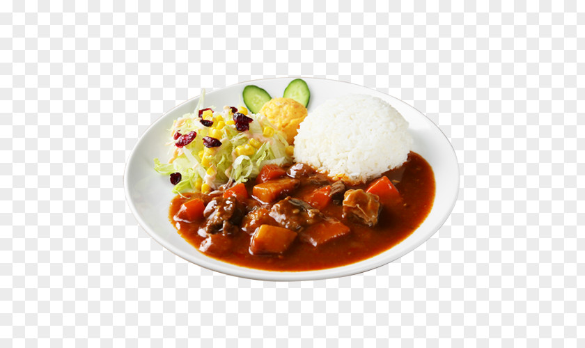 Rice Japanese Curry Hayashi And Gulai Mole Sauce PNG
