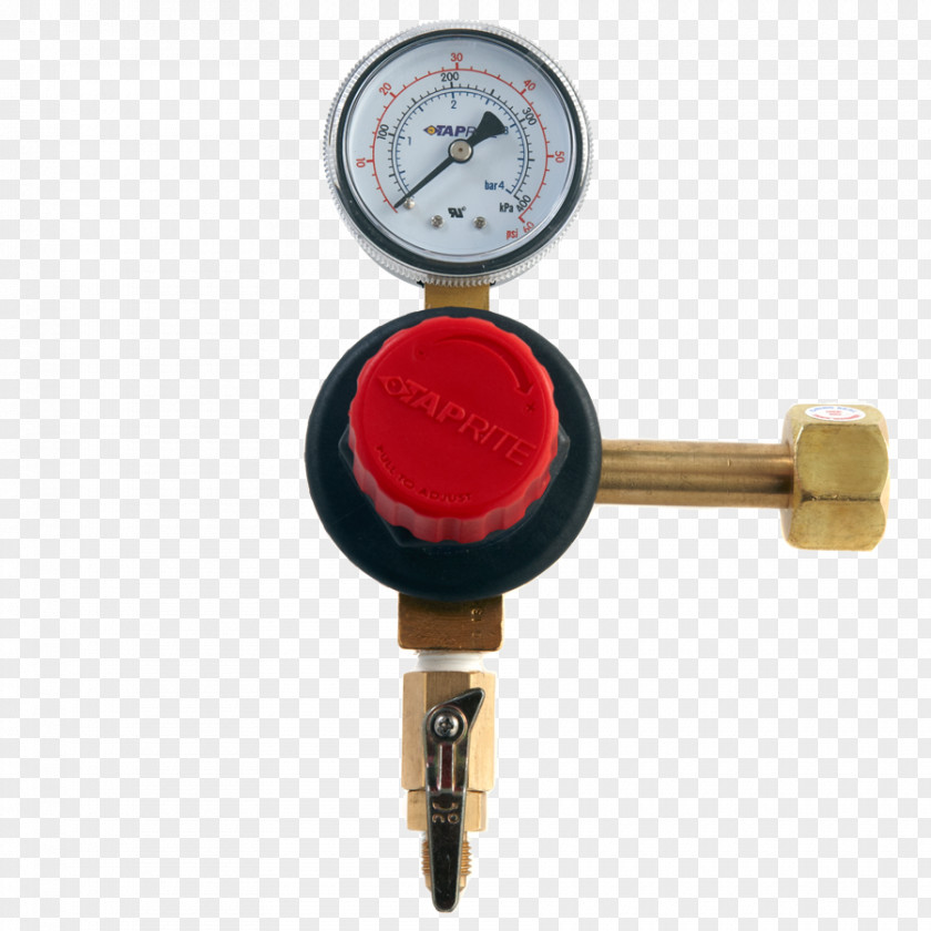 Ring Gauge Carbon Dioxide Pressure Regulator Dual PNG