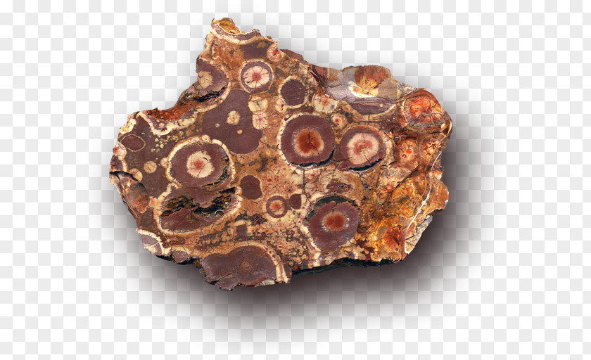 Rock Mineral Bauxite Oolite Pisoliti PNG
