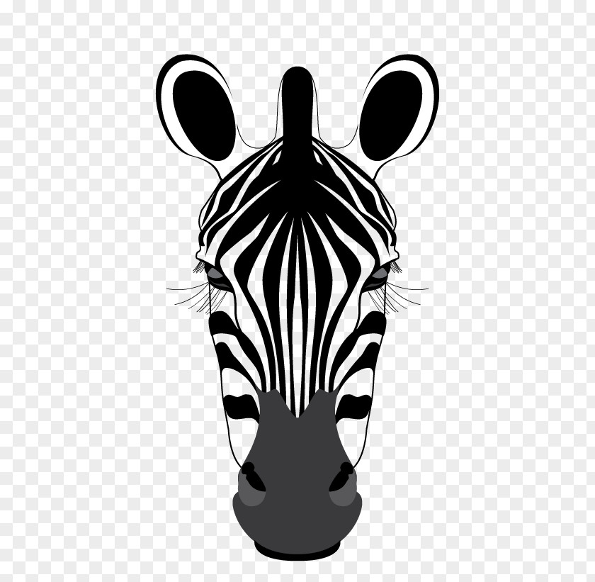 Zebra Font Pattern Snout PNG