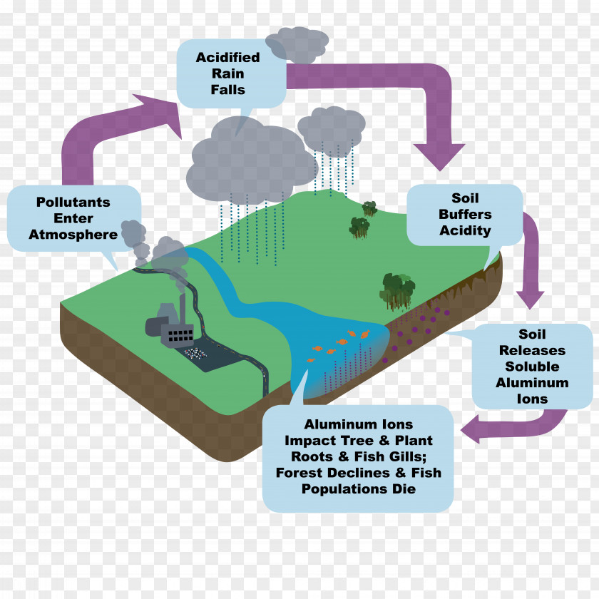 Design Line Diagram PNG