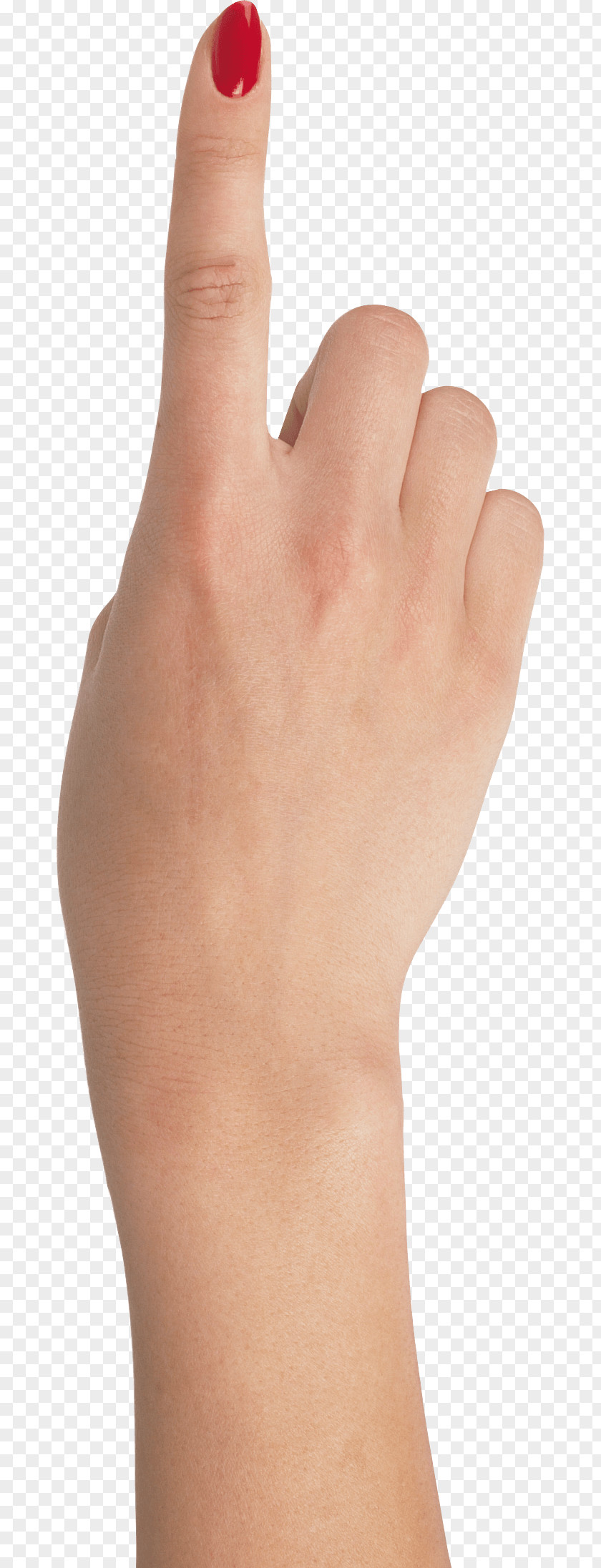Hands Hand Image Thumb Model Painting PNG
