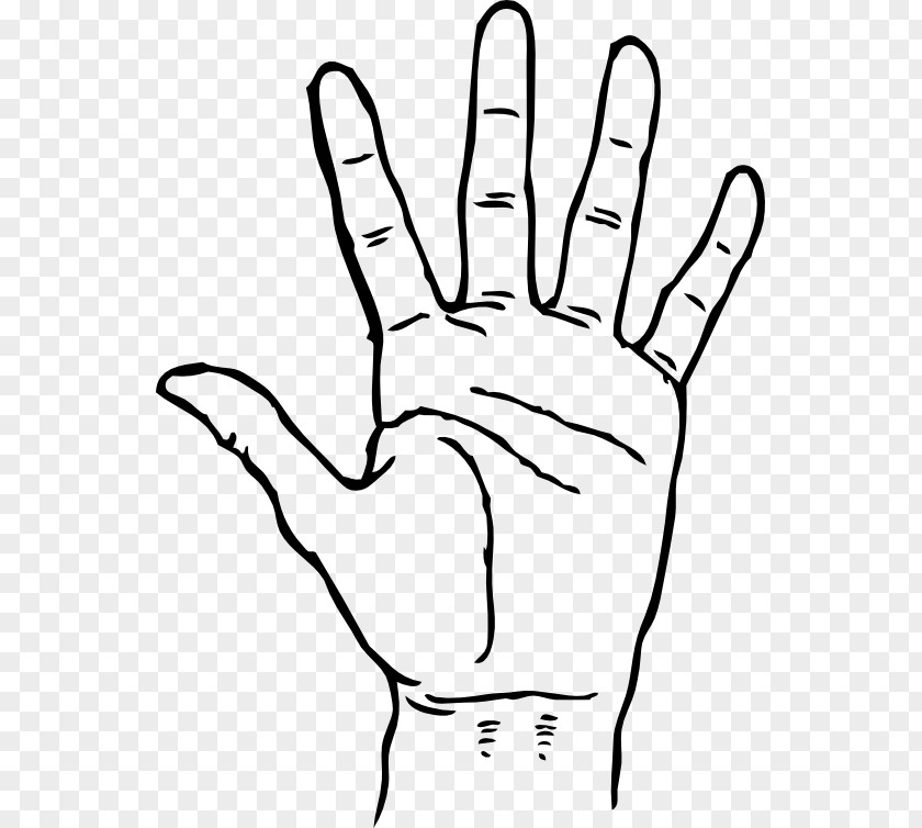 Palm Vector Praying Hands Drawing Clip Art PNG
