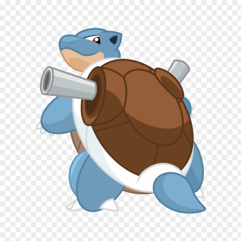 Turtle Tortoise Sea Cartoon PNG