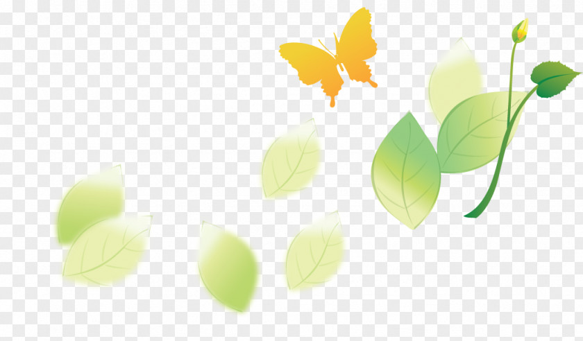 Banderoles Filigree Green Desktop Wallpaper Leaf Graphics Plant Stem PNG