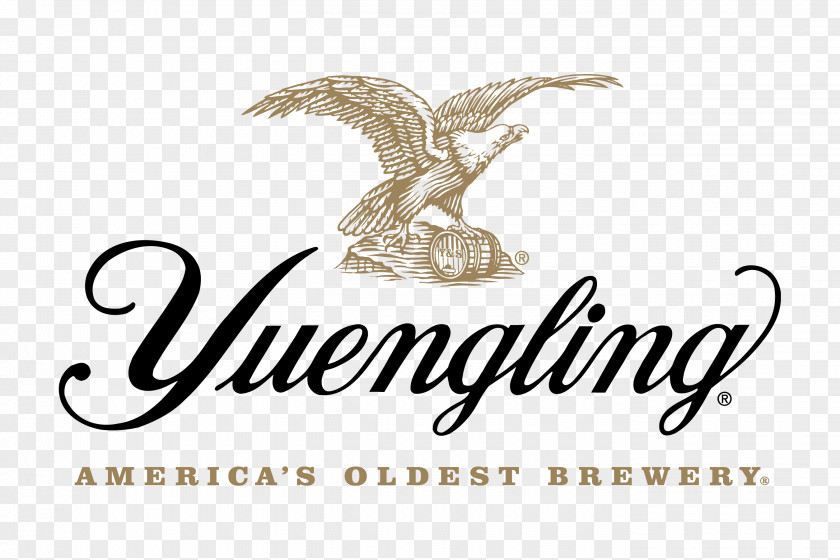 Beer Yuengling Pottsville Black And Tan Pilsner PNG