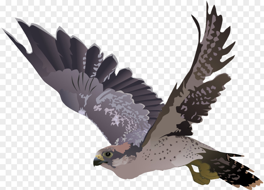 Environmental Commitment Cartoon Yhs Falcons Clip Art Transparency Falcon Image PNG