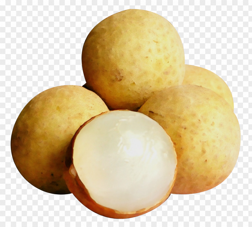 Longan Plant Potato Cartoon PNG