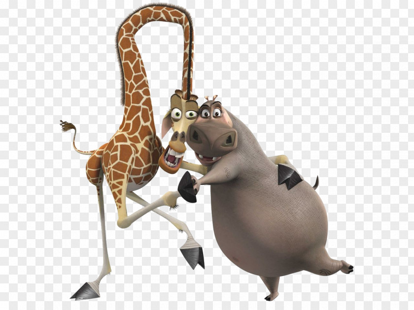 Moto Melman Madagascar Giraffe Noddy PNG