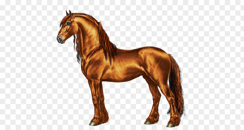 Mustang Mane Stallion Pony Mare PNG