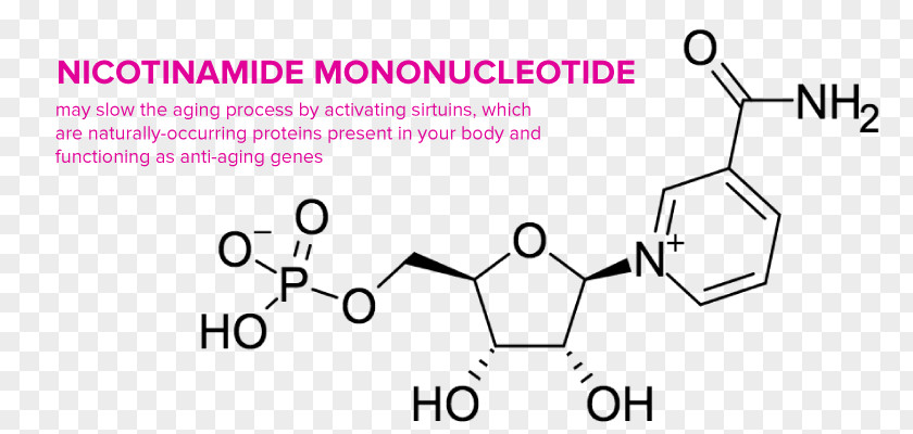 Reverse Aging Dietary Supplement Nicotinamide Mononucleotide Lipoic Acid Ascorbic PNG