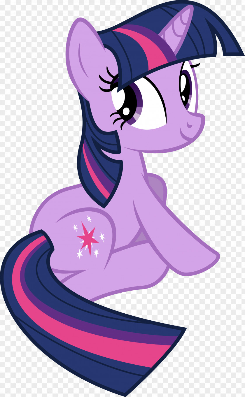 Twilight Sparkle Pinkie Pie Rainbow Dash Rarity Applejack PNG